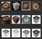 Peyote Scan