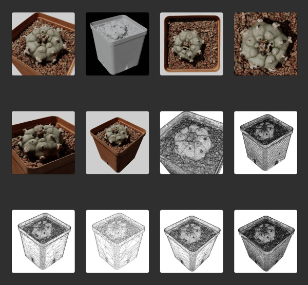 Peyote Scan