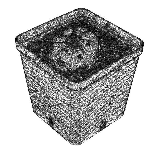 Peyote Scan