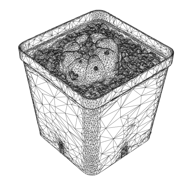 Peyote Scan