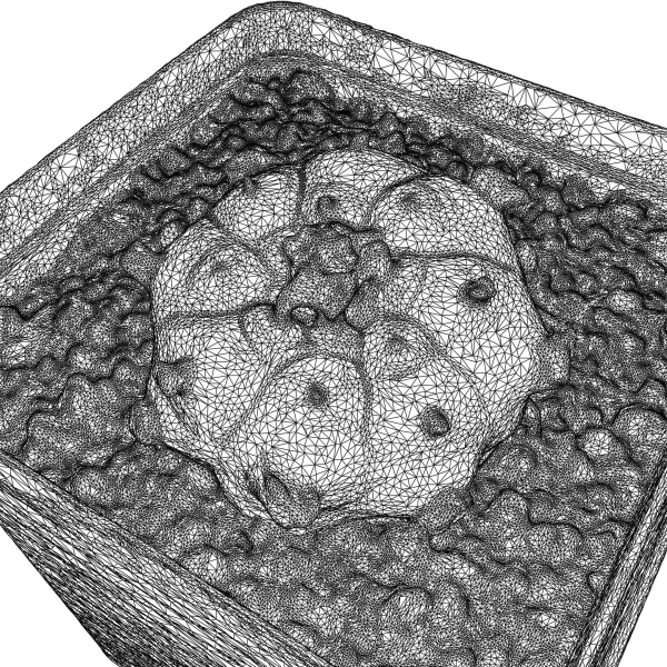 Peyote Scan