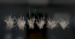 Photo Realistic Dry  Grass