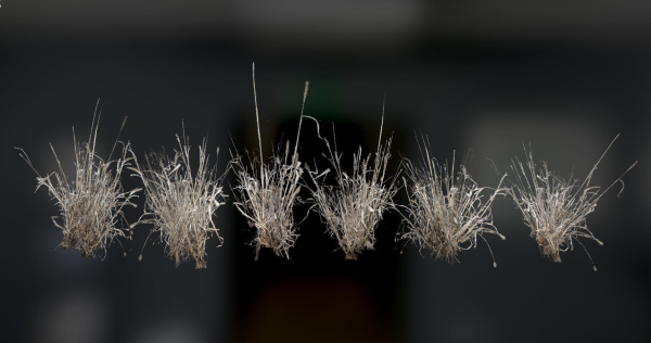 Photo Realistic Dry  Grass