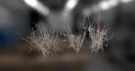 Photo Realistic Dry  Grass