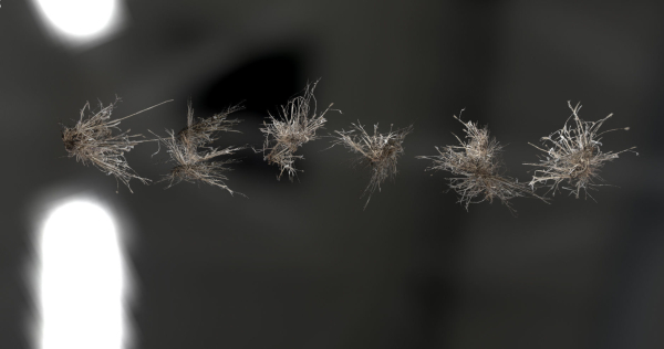 Photo Realistic Dry  Grass