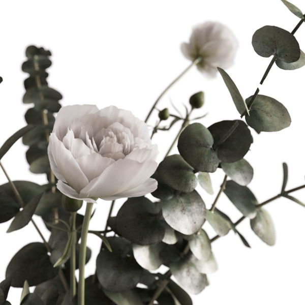 Photorealistic model of bouquets of eucalypt in vase