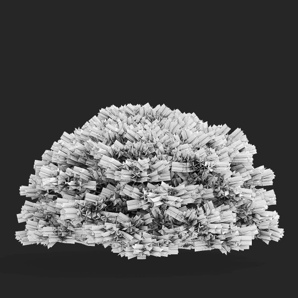 Picea abies