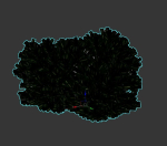 Picea Orientalis Dwarf