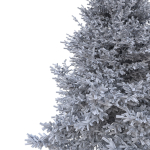 Picea Tree