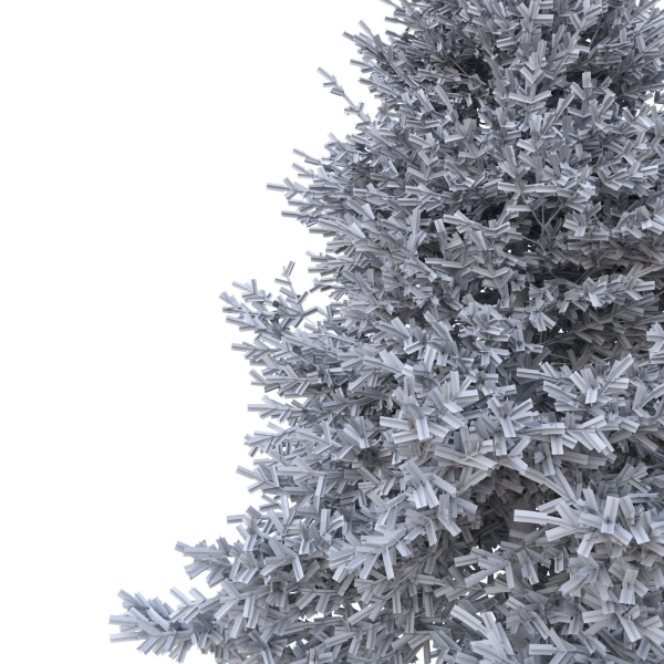 Picea Tree