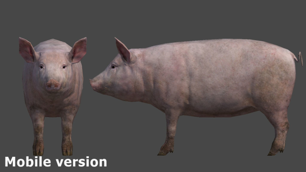 PIG FAMILY