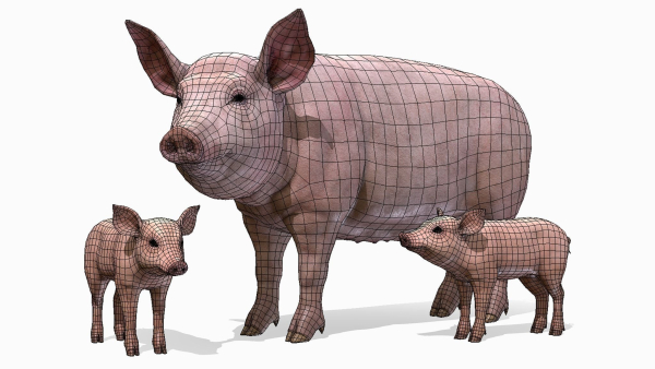 PIG FAMILY