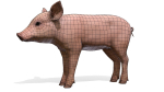 PIG FAMILY