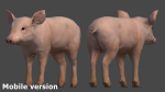 PIG FAMILY