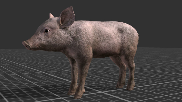 PIG FAMILY