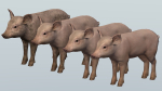 PIG FAMILY