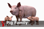 PIG FAMILY