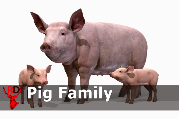 PIG FAMILY