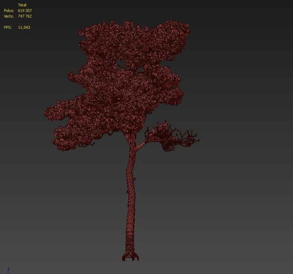 Pine 7 tree