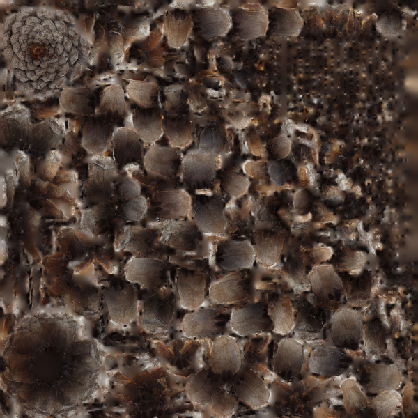 Pine cone 3d model with LODs