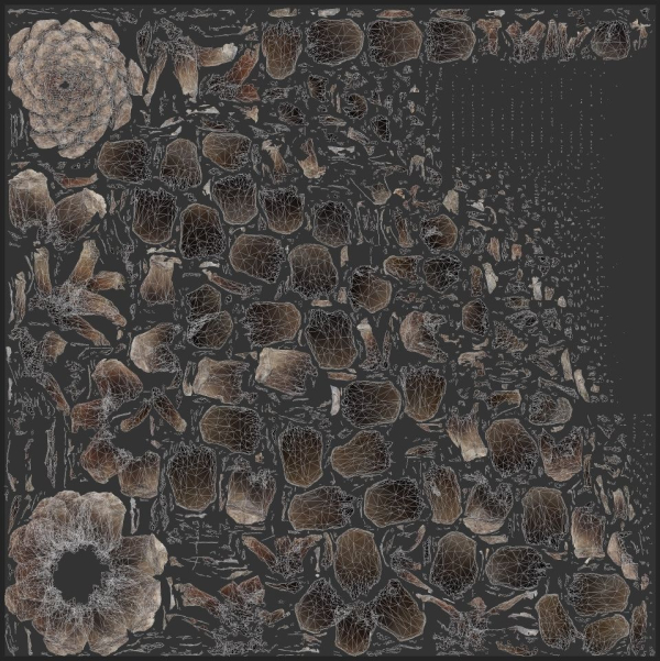 Pine cone 3d model with LODs