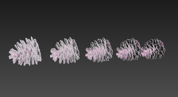 Pine cone 3d model with LODs