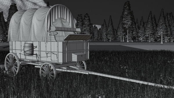 Pine Forest 3d Scene