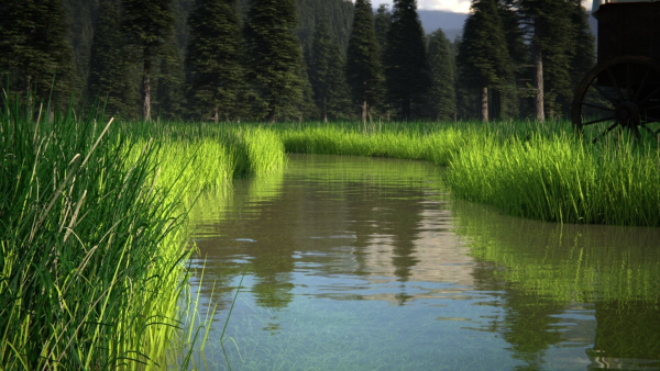 Pine Forest 3d Scene