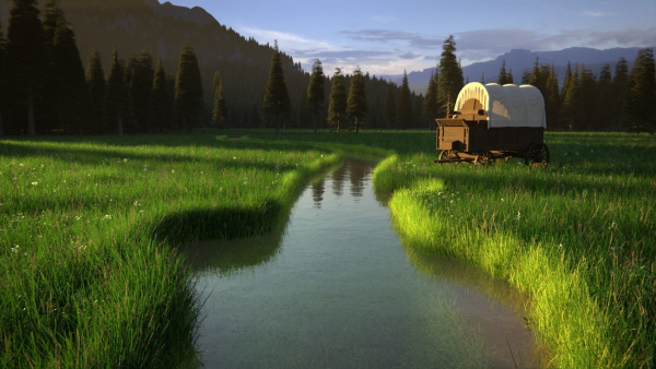 Pine Forest 3d Scene