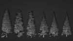 Pine Forest 3d Scene