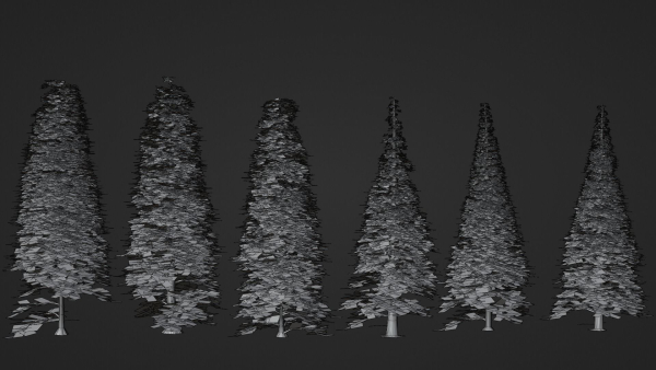 Pine Forest 3d Scene