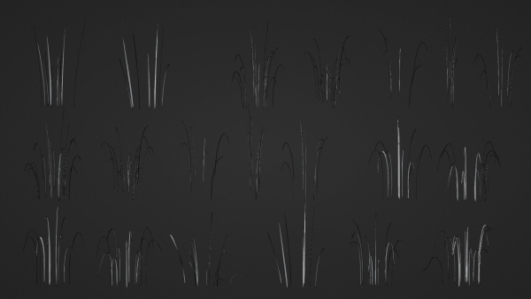 Pine Forest 3d Scene