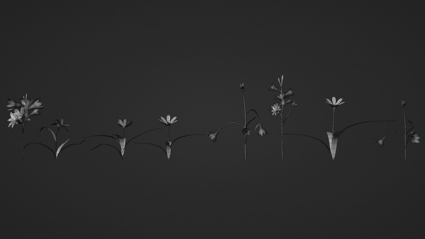 Pine Forest 3d Scene