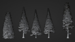 Pine Forest 3d Scene