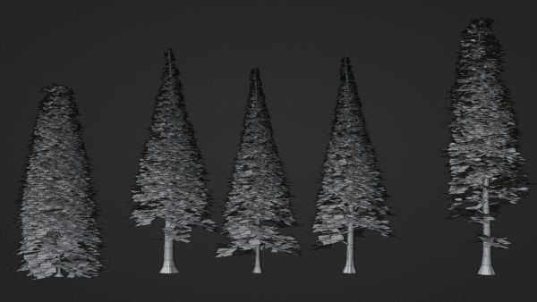Pine Forest 3d Scene