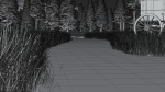 Pine Forest 3d Scene