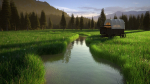 Pine Forest 3d Scene