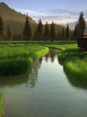 Pine Forest 3d Scene
