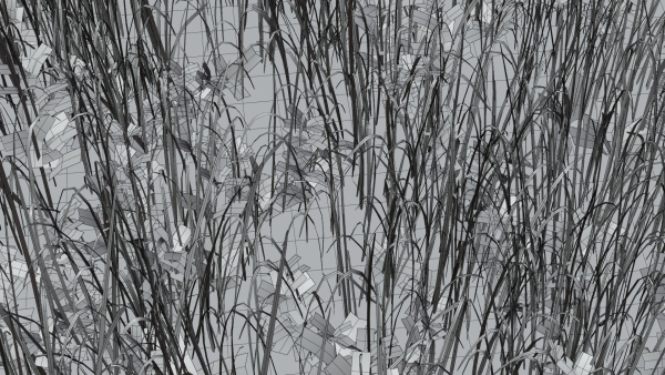 Pine Forest 3d Scene