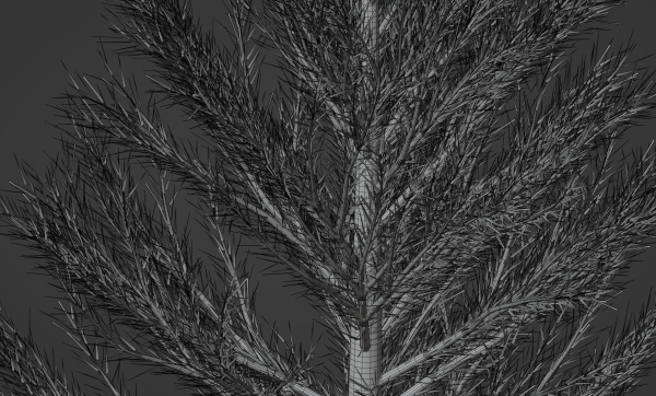Pine Tree