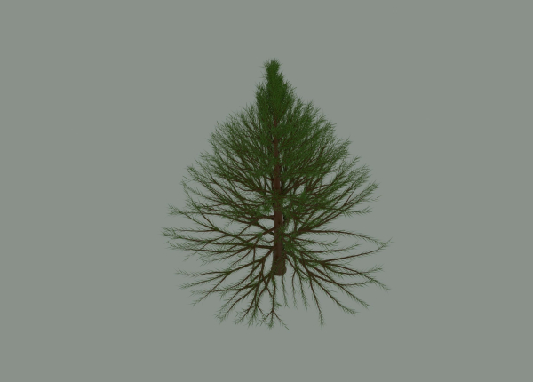 Pine Tree
