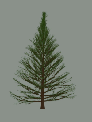 pine-tree-3d-model-65ecbf82da
