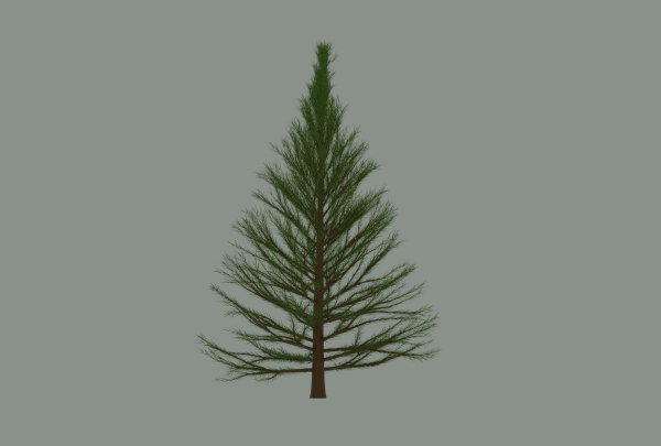 Pine Tree