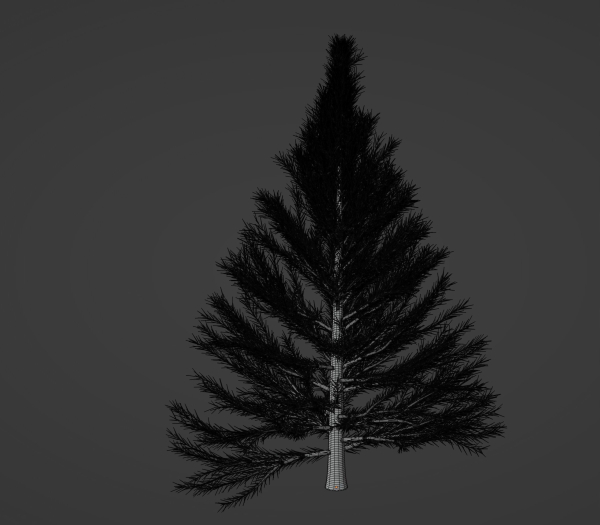 Pine Tree
