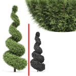 pine tree