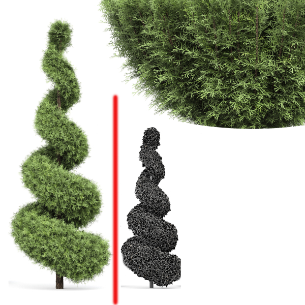 pine tree