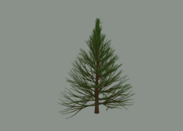 Pine Tree