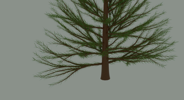 Pine Tree