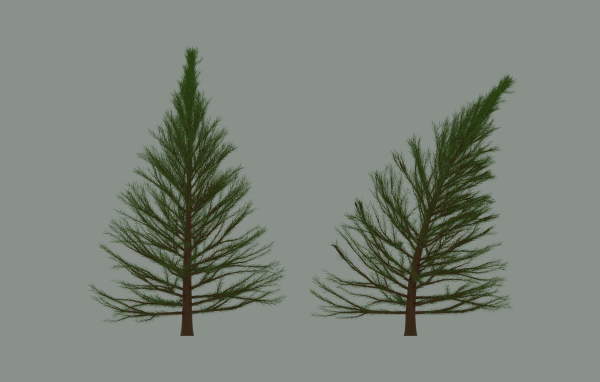 Pine Tree