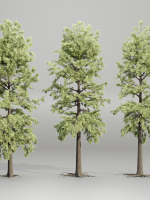 pine trees collection vol 102-Blender
